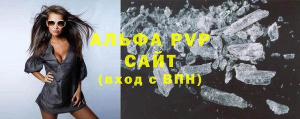 прущие грибы Аркадак