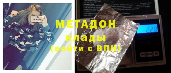 прущие грибы Алзамай