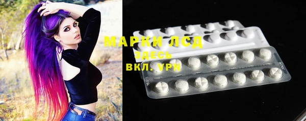 прущие грибы Аркадак