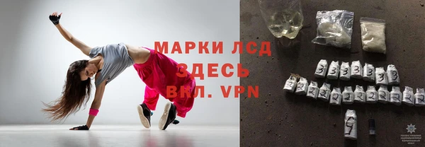 прущие грибы Аркадак