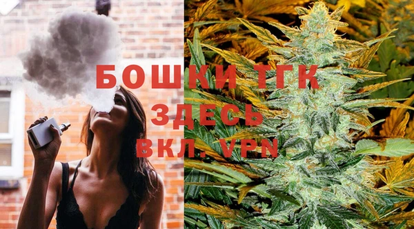 прущие грибы Аркадак