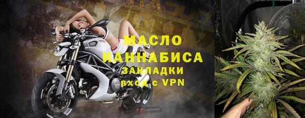 прущие грибы Аркадак