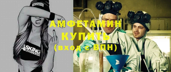 прущие грибы Аркадак