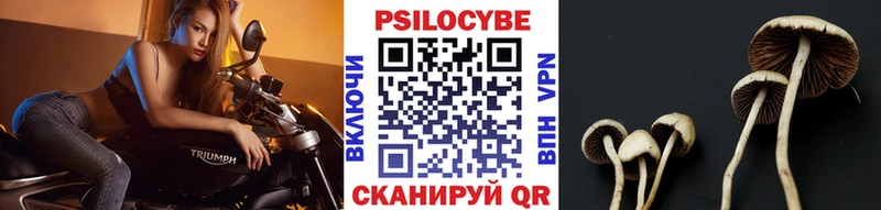 shop состав наркошоп Темрюк Галлюциногенные грибы мицелий